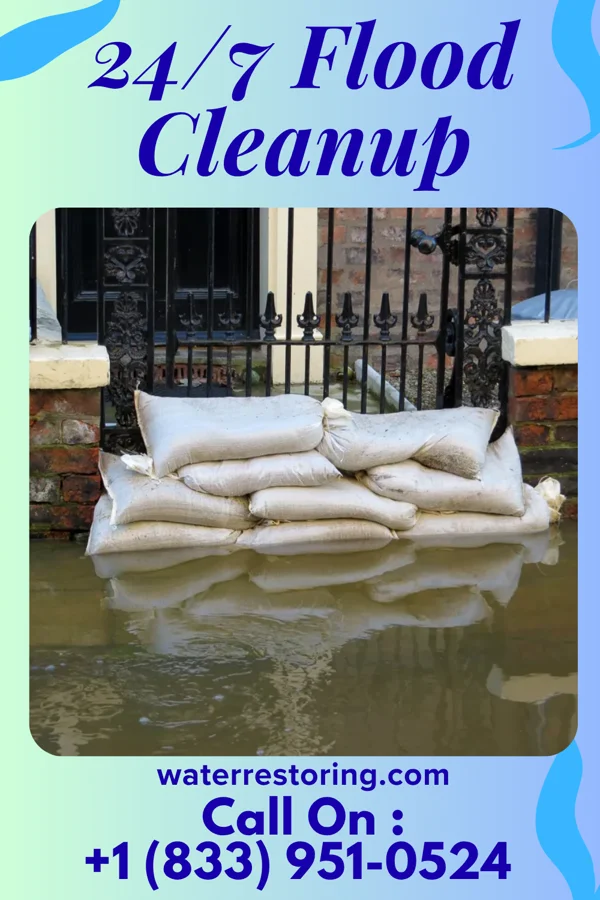 24/7 Flood Cleanup in Princeton, NE