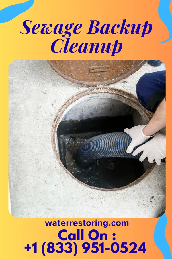 Sewage Backup Cleanup in Princeton, NE